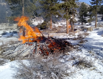 burning pile of wood