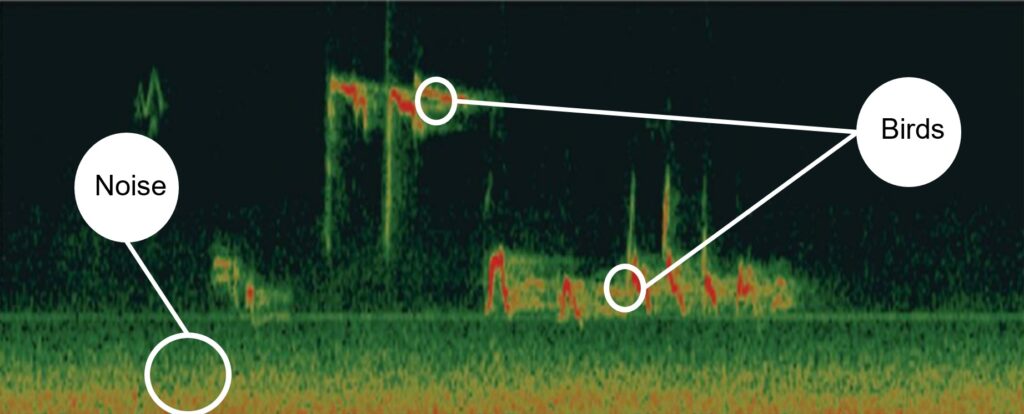 A spectogram showing sound from wind farms with birds