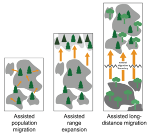 Three side by side diagrams showing different types of assisted plant migration