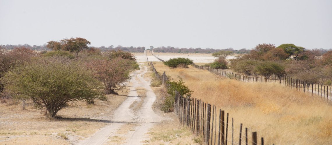 Veterinary cordon fence, Botswana. Image by USAID Biodiversity & Forestry via Flickr (CC BY-NC 2.0)