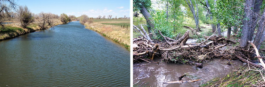 Two pictures, one clear and one clogged with trees