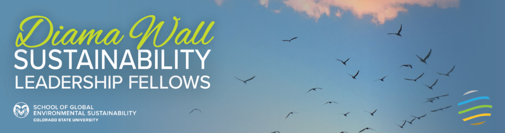 Diana Wall Sustainability Leadership Fellows branding