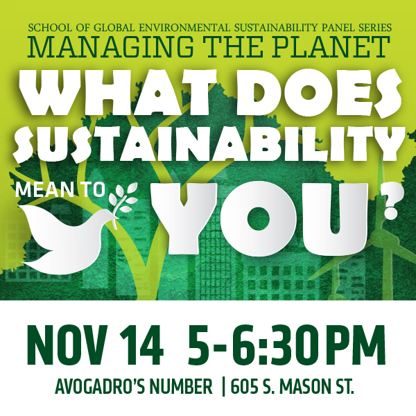 what does sustainability mean to you image