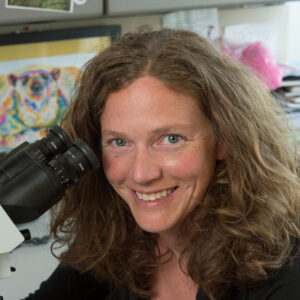 Picture of Colleen Duncan