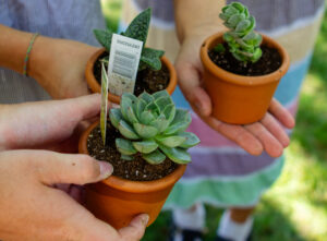 Three people hold small potted plants outside.