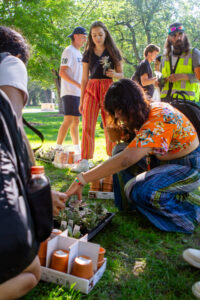 A person grabs a plant to pot outside.