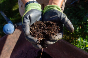 Hands hold a handful of dark brown, humic-like substance.