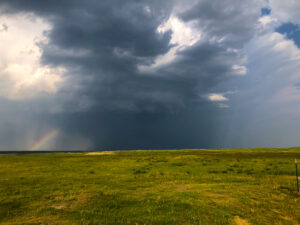 A storm in the distance across the grassland. From the USDA-ARS Central Plains Experimental Range shortgrass steppe in Nunn, Colorado.