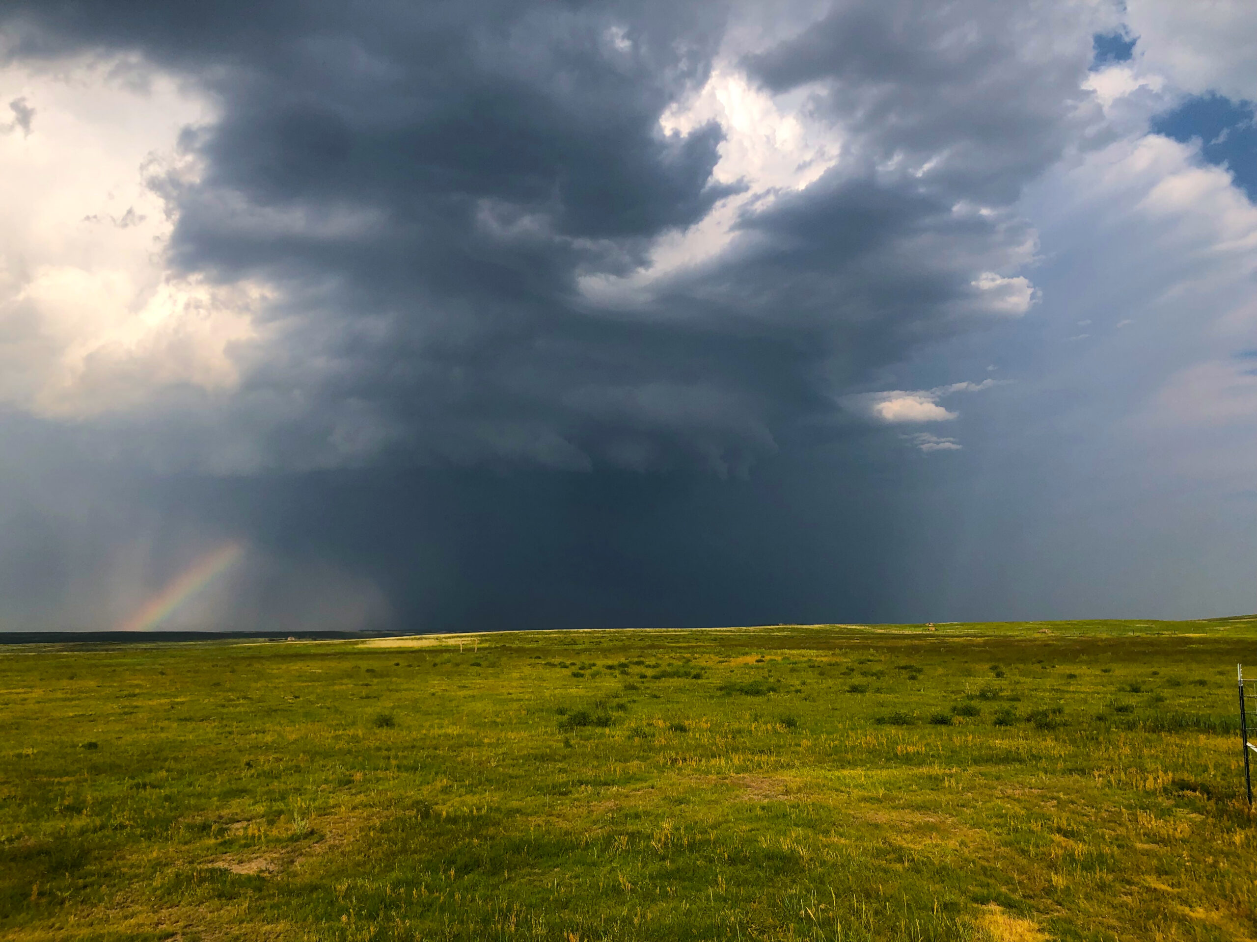 A storm in the distance across the grassland. From the USDA-ARS Central Plains Experimental Range shortgrass steppe in Nunn, Colorado.