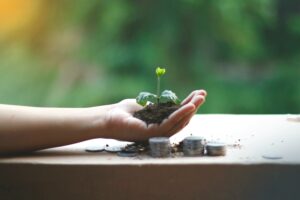 hand holding seedling with stacks of coins next to it