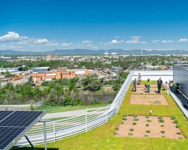 rooftop garden in Denver