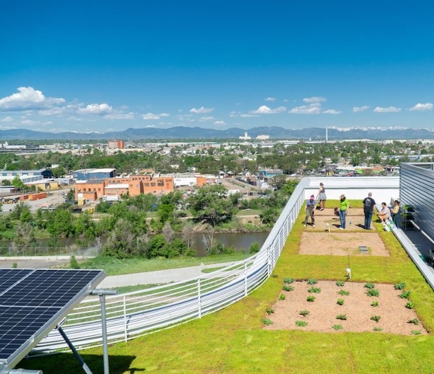 rooftop garden in Denver