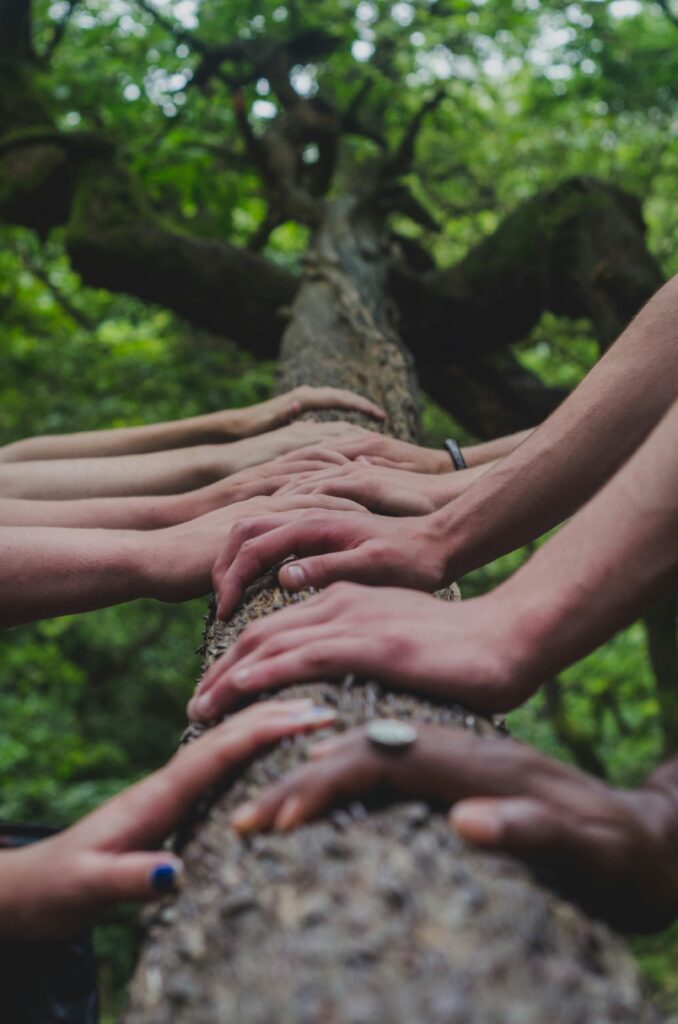 hands stacked on tree trunk