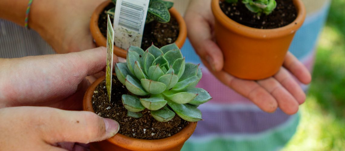Three people hold small potted plants outside.