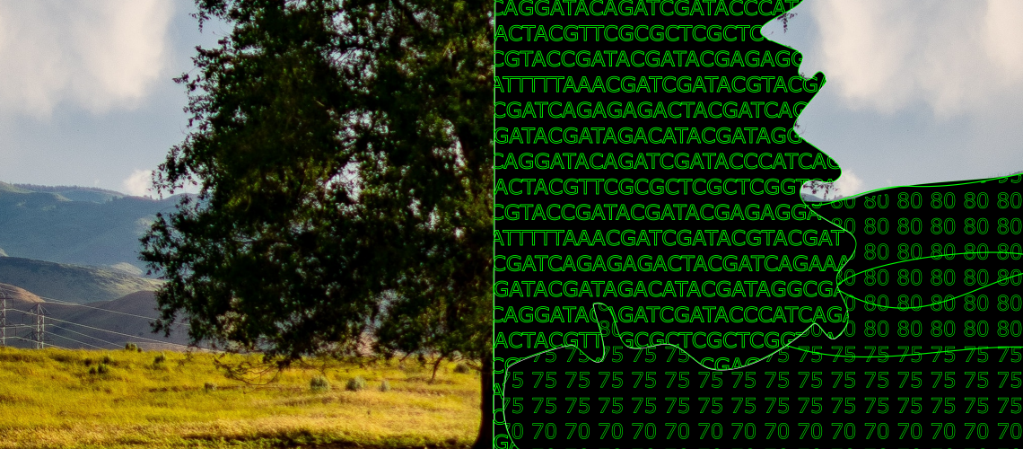 Depiction of a landscape when encoded by letters and numbers. Credit: Amanda Cicchino edited the landscape photo by Brett Sayles (downloaded from Pexels).