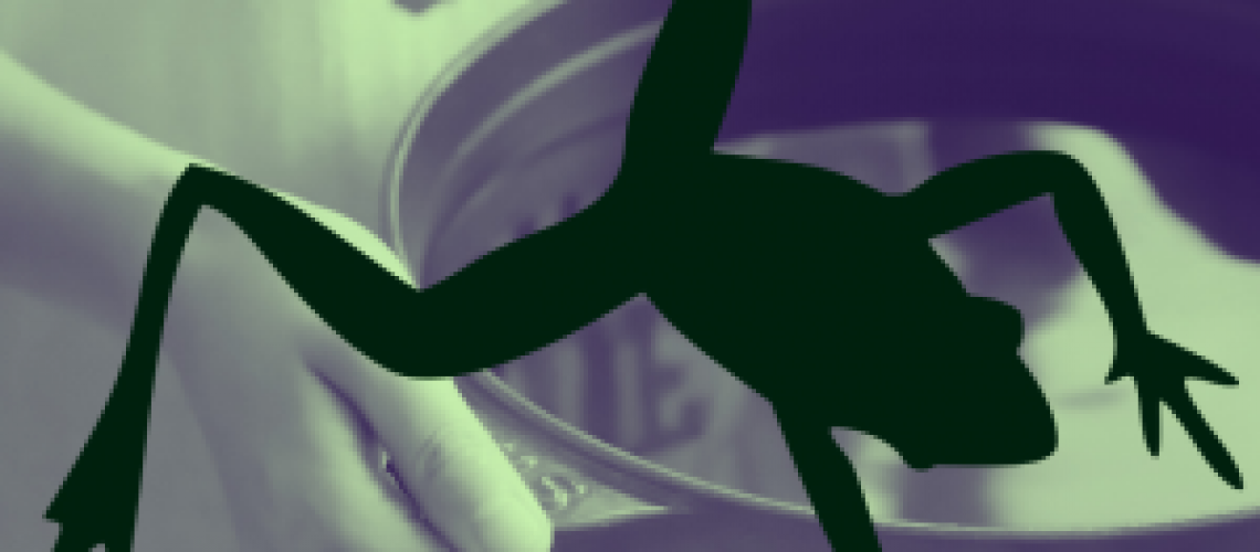 Frog in Hot Water_Canva