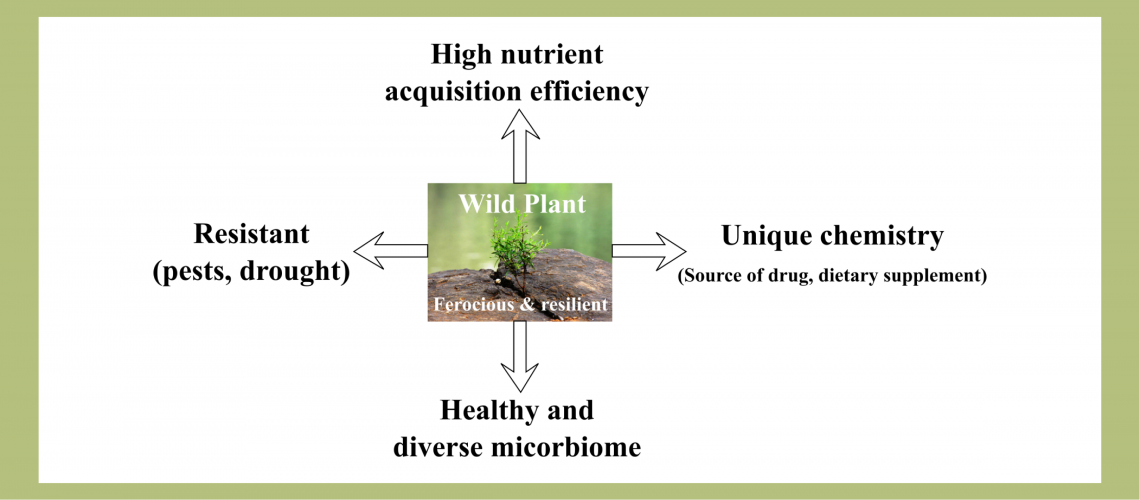 Joshi-Blog-Photo-Main