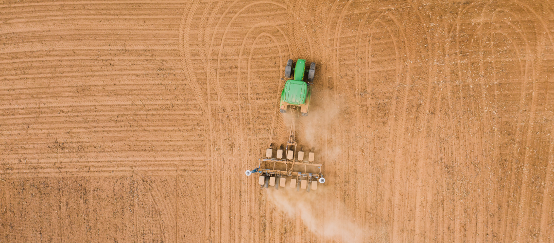 LisaEash_blog-header