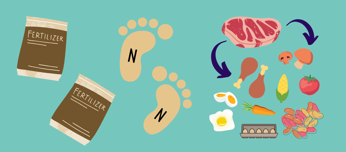 N-Footprint Blog Header