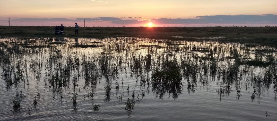 Collecting samples from a flooded playa at sunrise during the summer of 2023. Photo credit: Megan Podolinsky