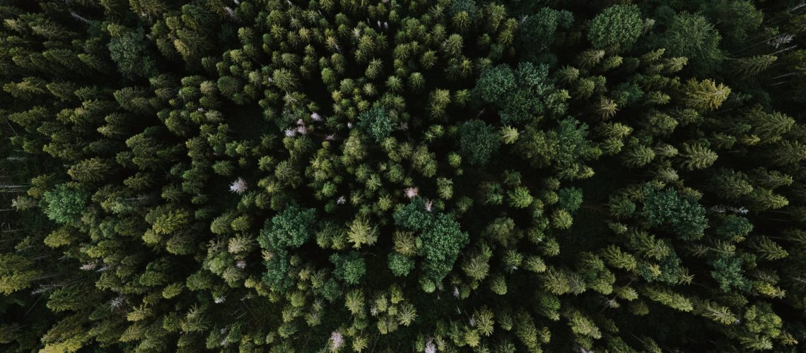 Photo by Olenka Sergienko from Pexels