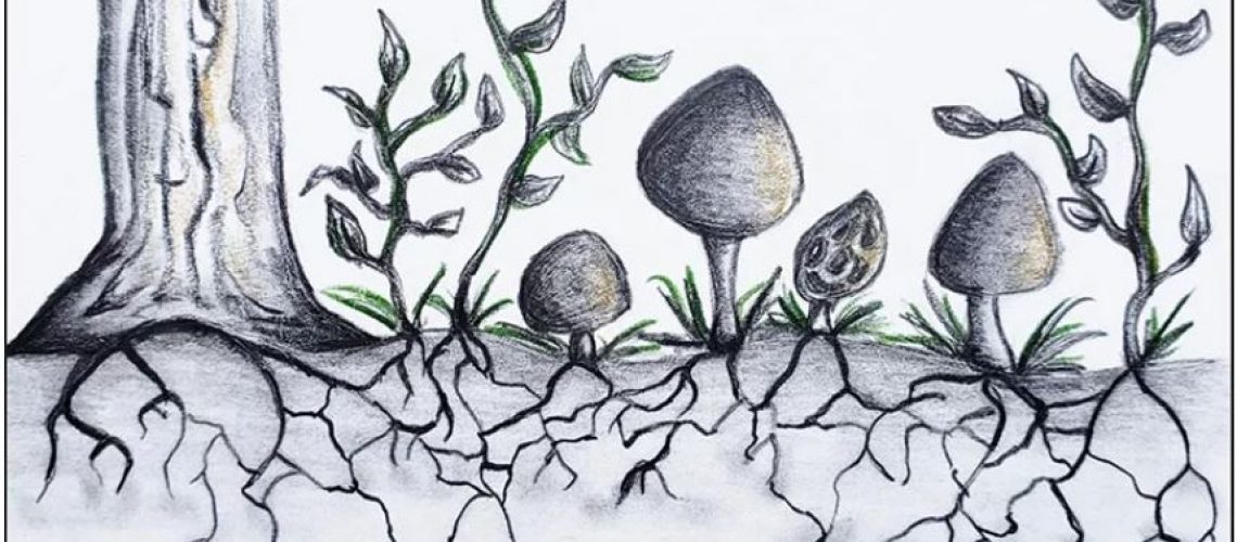 Siggers-Blog-Photo-1