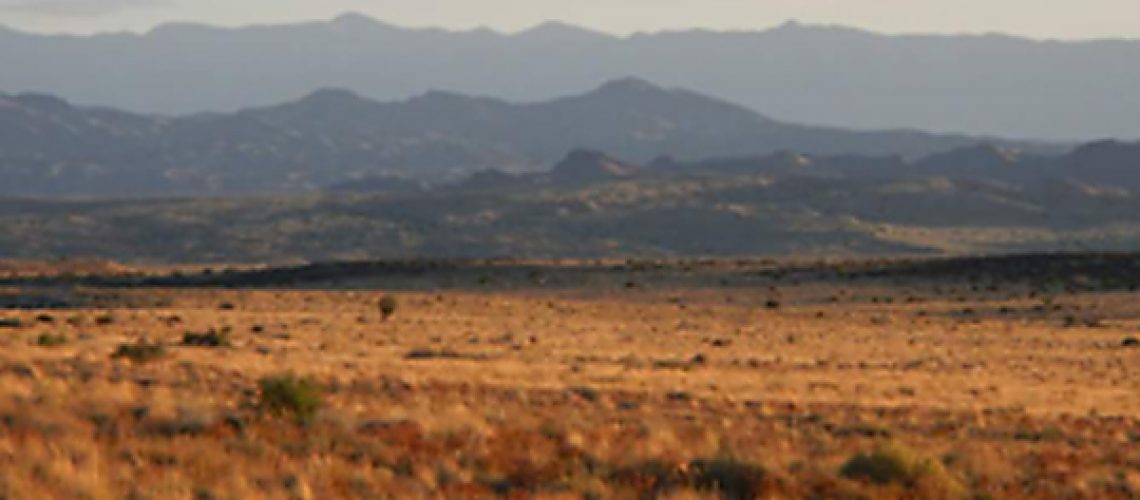 mountains and grass scene