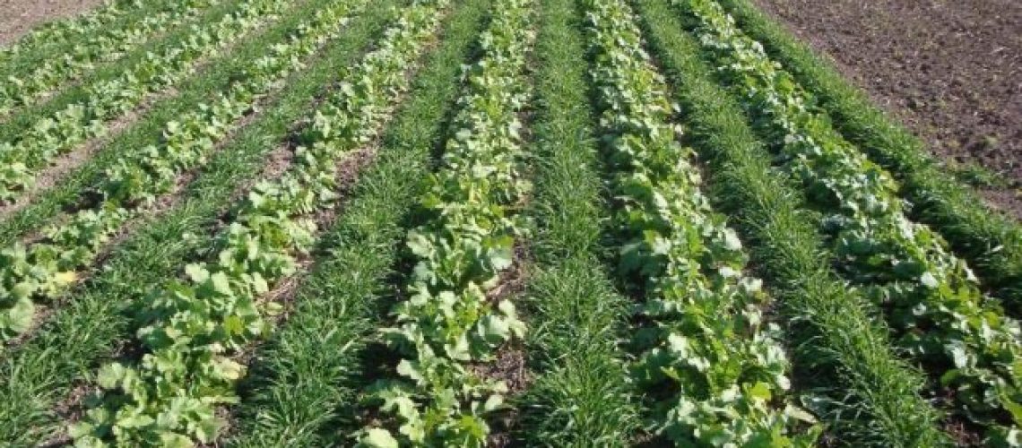 Seitz-Blog-Photo-Main